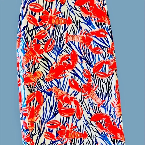 TALBOTS Vibrant Lobster Nautical Beach Boating Skirt | Size 12 | Preowned - Picture 3 of 8